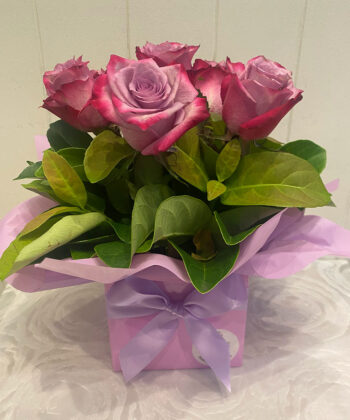 6 Mauve Roses In Box