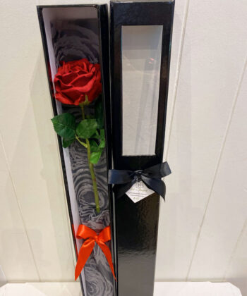 Single Rose in Black Presentation Box